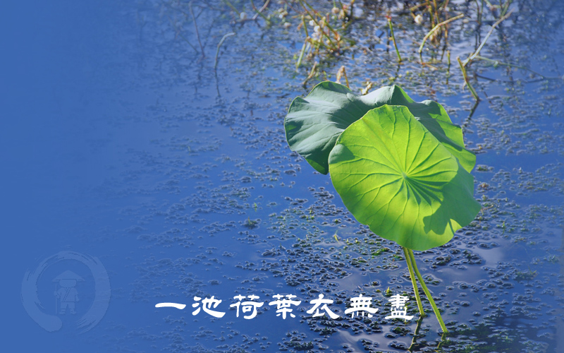 һ�غɻ����޾�